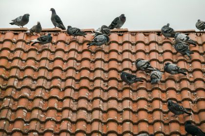 Jak zainstalować klimatyzację na poddaszu